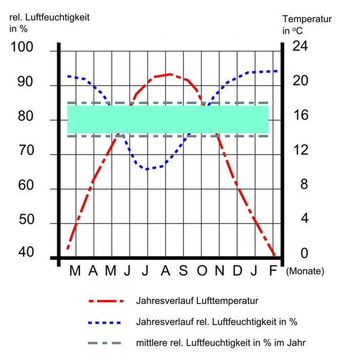 Jahresverlauf Temperatur, relative Feuchtigkeit/absolute Feuchtigkeit